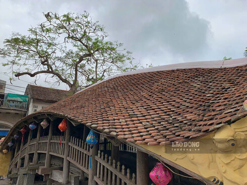 Ngói dùng để lợp là những viên ngói nam, được lợp rất khéo không bị xô và hở, trông tựa như con rồng uốn khúc đang vươn mình bay lên. Ảnh: Lương Hà