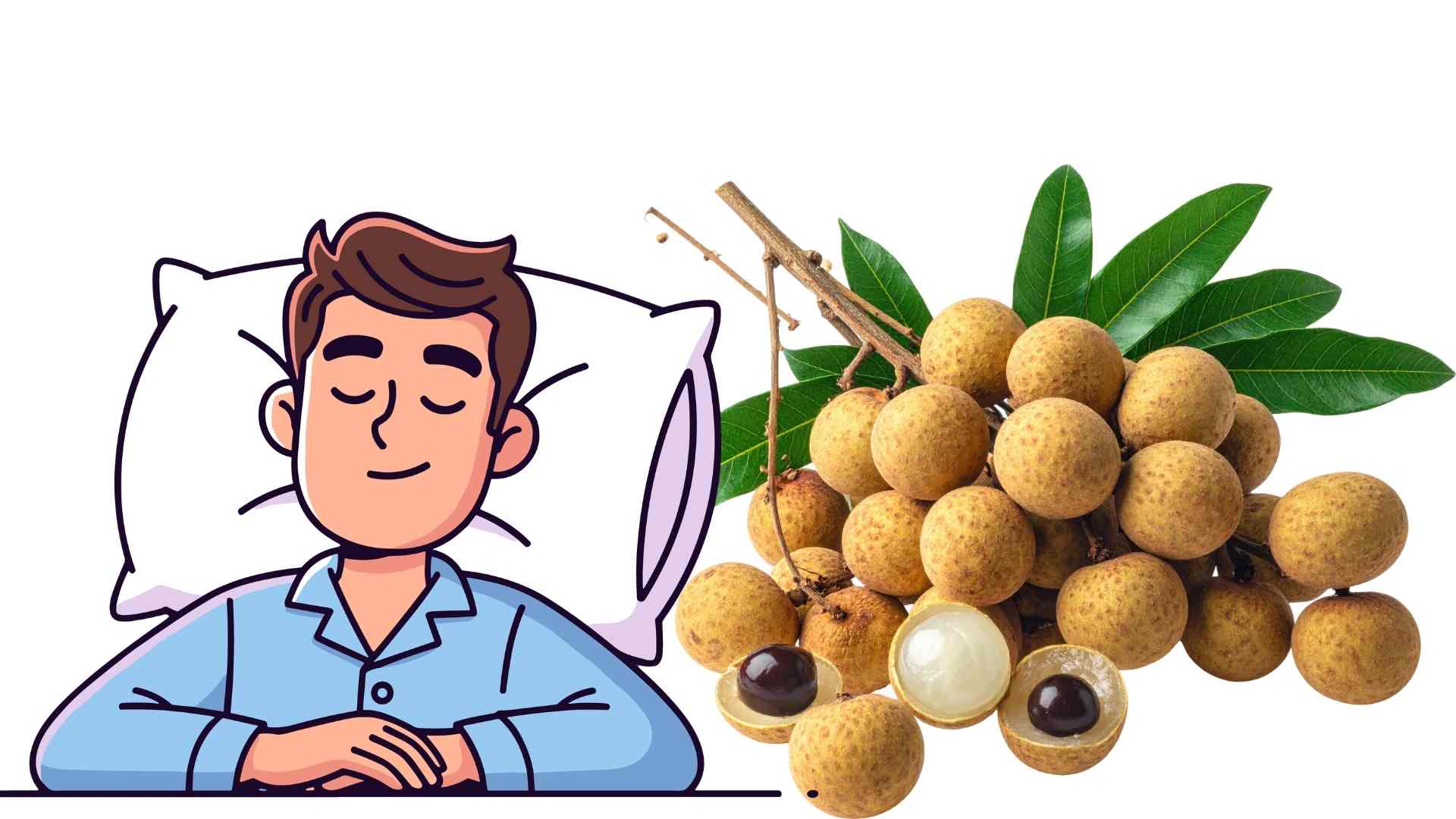 Longan helps sleep well but must be used correctly. Graphics: Ha May