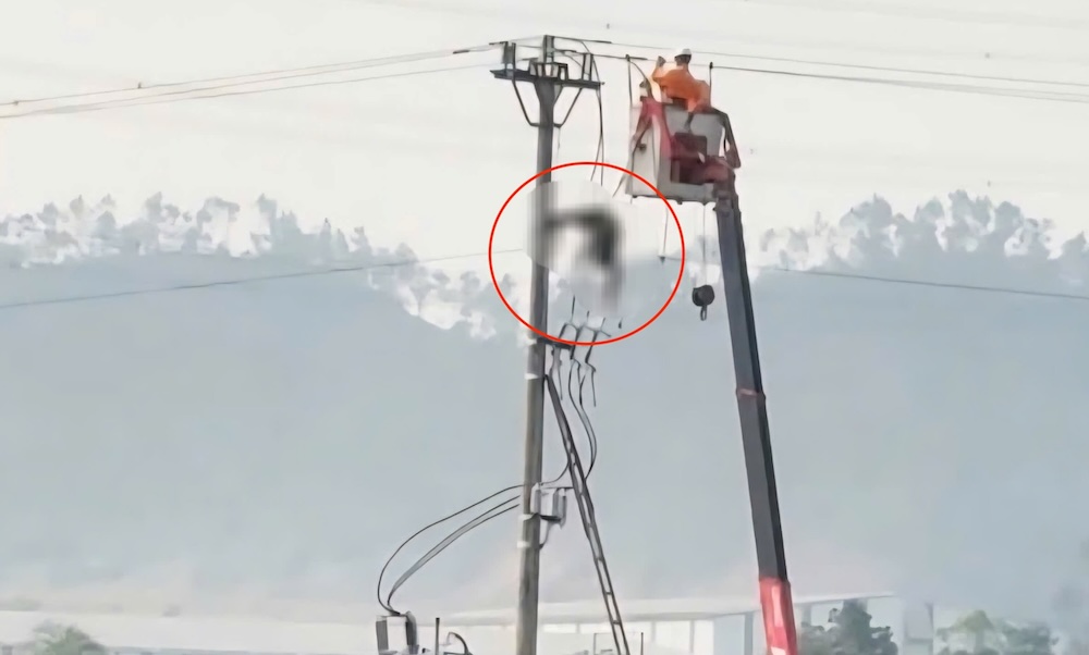 The student was found dead. Photo: Ngoc Anh