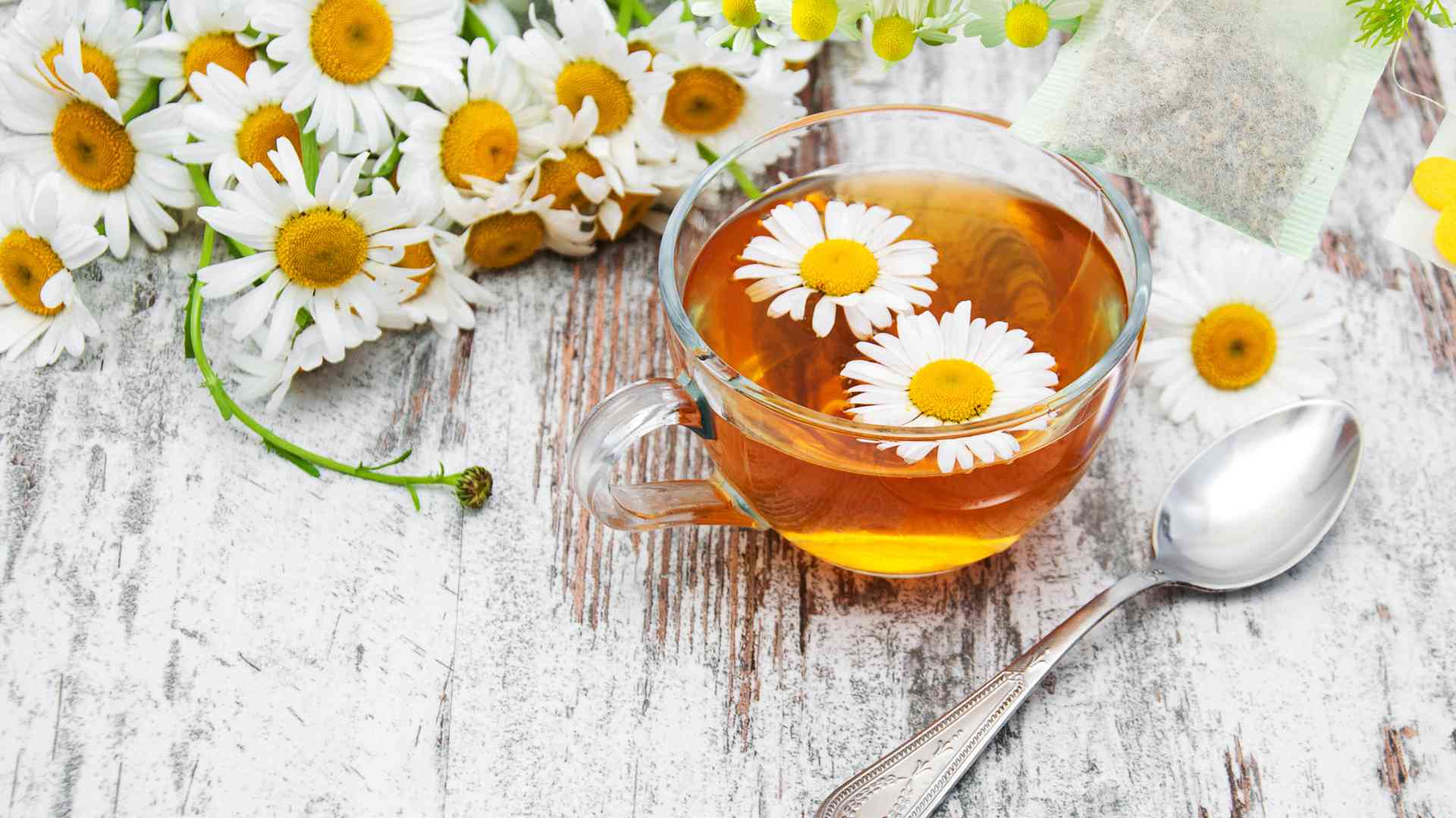 Chamomile tea contains many antioxidants, which help reduce inflammatory reactions in the body and are beneficial for people with high uric acid levels. Graphic photo: Huong Son