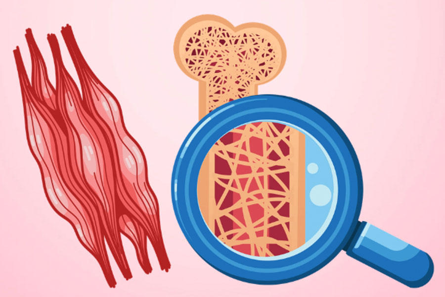 4 façons simples d'éviter la perte musculaire et l'ostéoporose en vieillissant