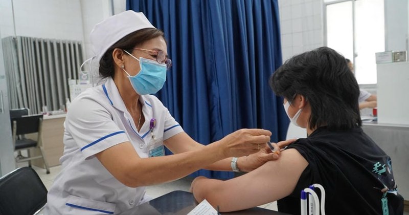 Cảnh báo nguy cơ tử vong do chủ quan khi bị chó cắn