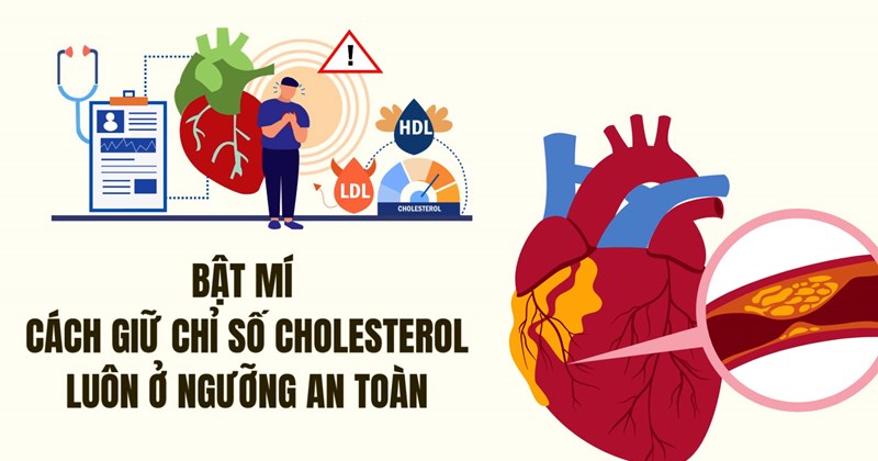 Tiết lộ cách giữ mức cholesterol an toàn