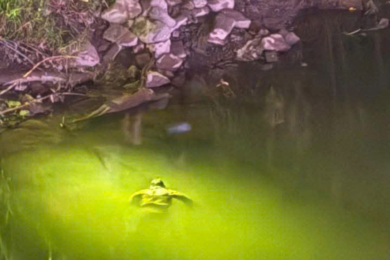 Thi thể người đàn ông được phát hiện ở chân cầu Cốc Lếu, phường Lào Cai. Ảnh: Đinh Đại