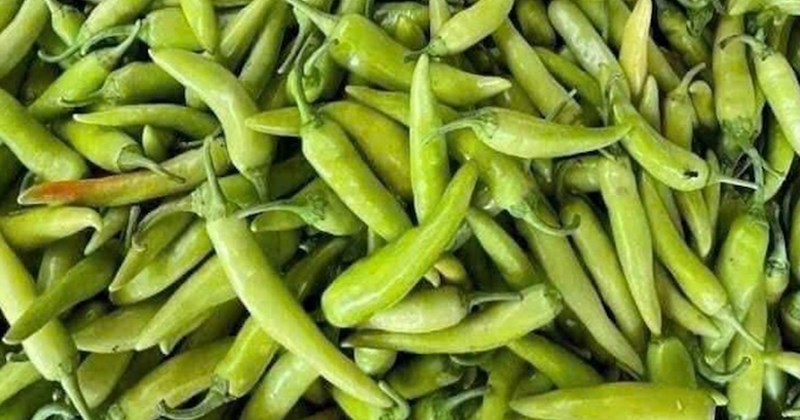 Ăn ớt cay không ảnh hưởng sức khỏe thận