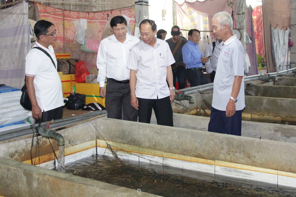Đoàn công tác Hội Nông dân thành phố Cần Thơ đi kiểm tra thực tế tình hình nuôi, tiêu thụ lươn. Ảnh: Tạ Quang