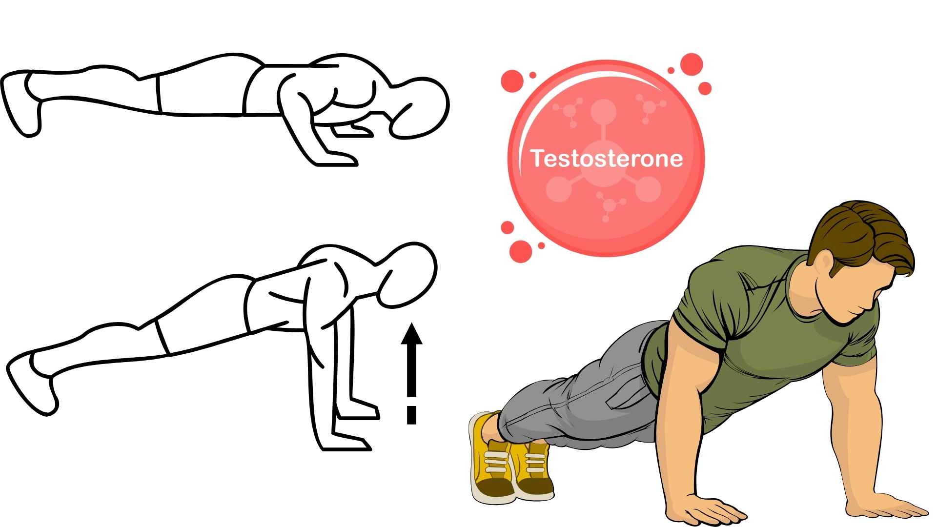 Push-ups are a complex exercise that helps stimulate the body to produce testosterone. Graphics: Ha May