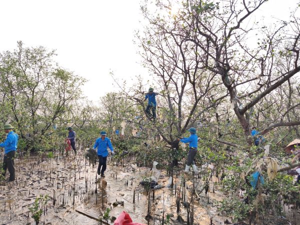 Nghi Loc commune union members launched a campaign to collect garbage and protect mangrove forests in response to Workers' Month and Action Month on OSH 2026. Photo: Nghe An Trade Union