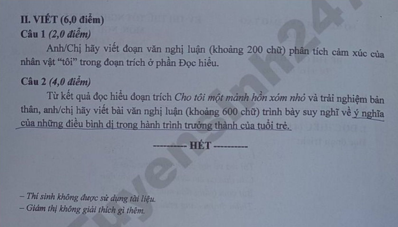 Đề thi thử tốt nghiệp THPT 2026 môn Văn - Sở GDĐT Cà Mau. Ảnh: Tuyensinh247