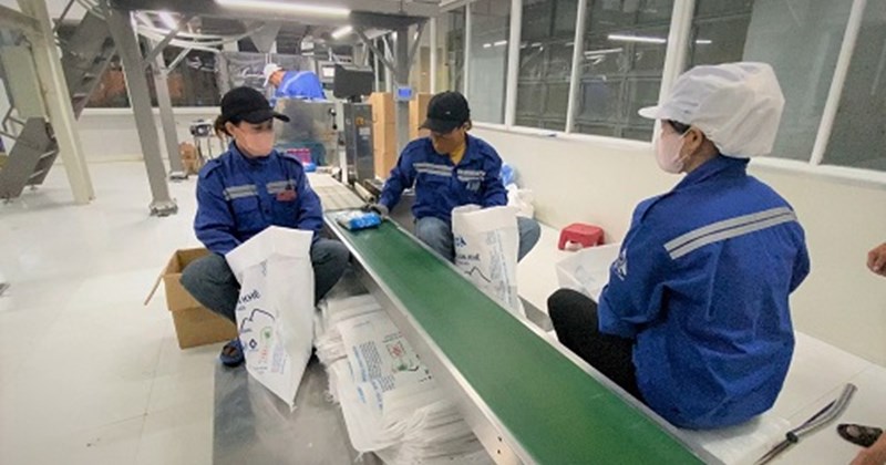 Nhà máy Đường Quảng Ngãi chăm lo đời sống người lao động