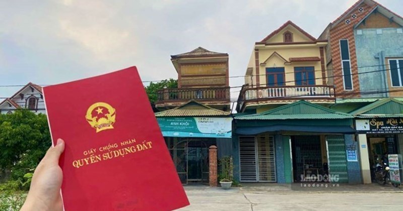 Ministry of Agriculture and Environment answers questions about red book revocation