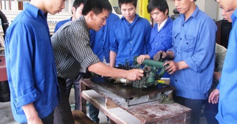 Lương giảng viên đại học được xếp hạng ra sao?