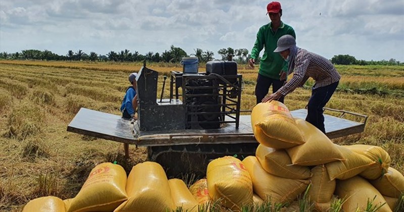 Launching literary and artistic creation on agriculture and environment