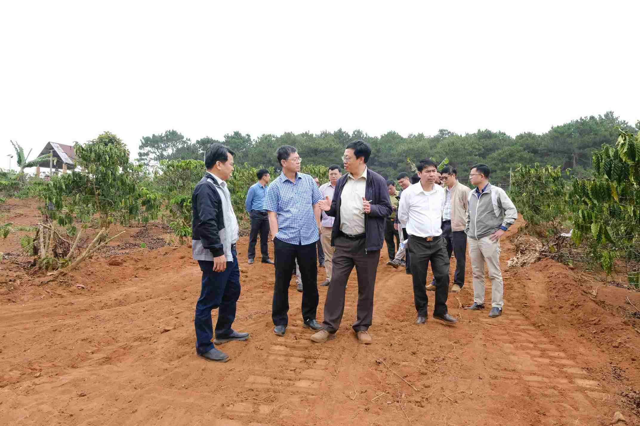 Ông Nguyễn Hồng Hải, Phó Chủ tịch UBND tỉnh Lâm Đồng kiểm tra thực địa cao tốc Bảo Lộc - Liên Khương các đoạn đào sâu thuộc xã Bảo Thuận và Gia Hiệp. 