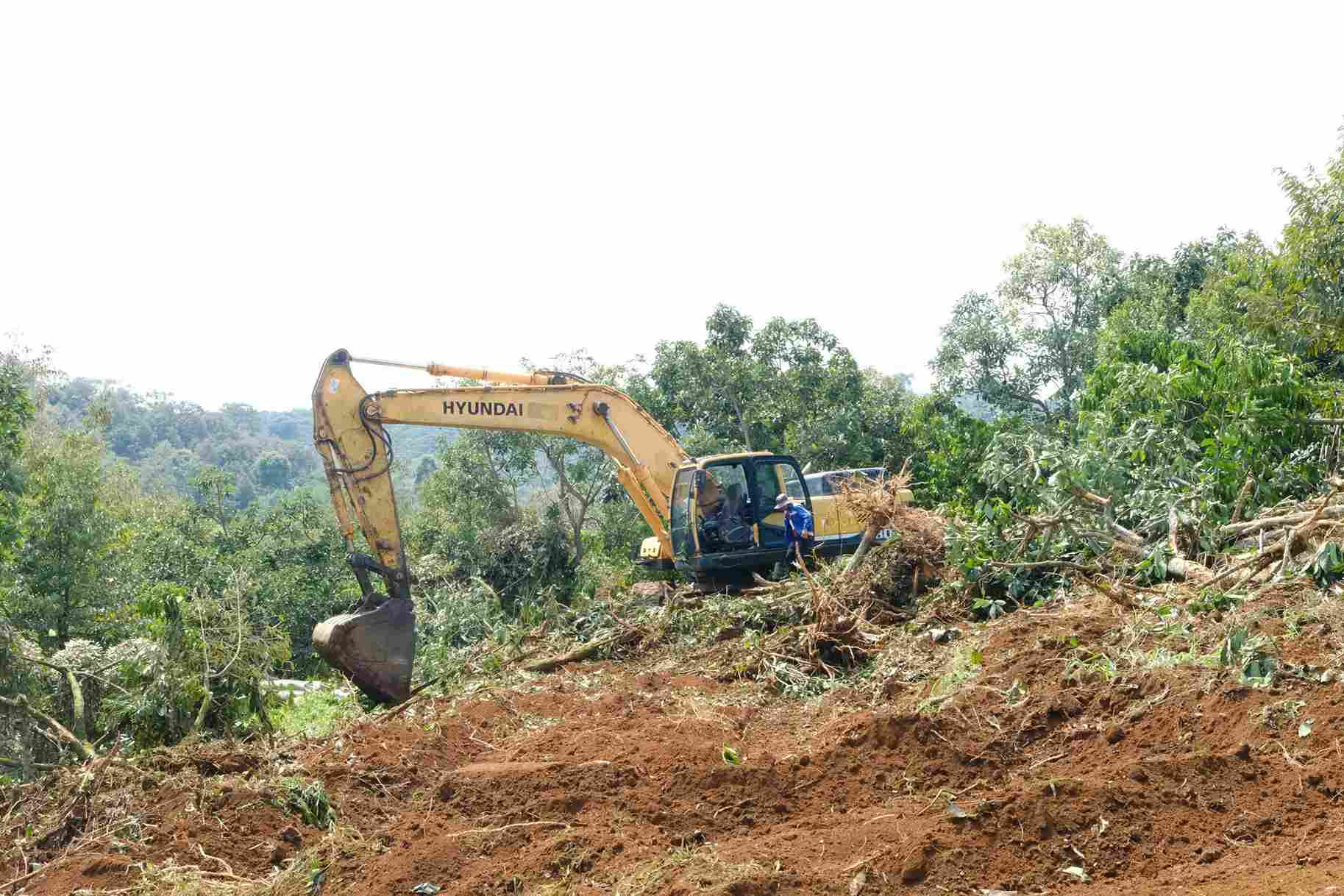 Các đơn vị thi công đang khẩn trương làm đường phục vụ triển khai đồng loạt các mũi thi công trên 2 tuyến cao tốc. Ảnh: Phúc Khánh 