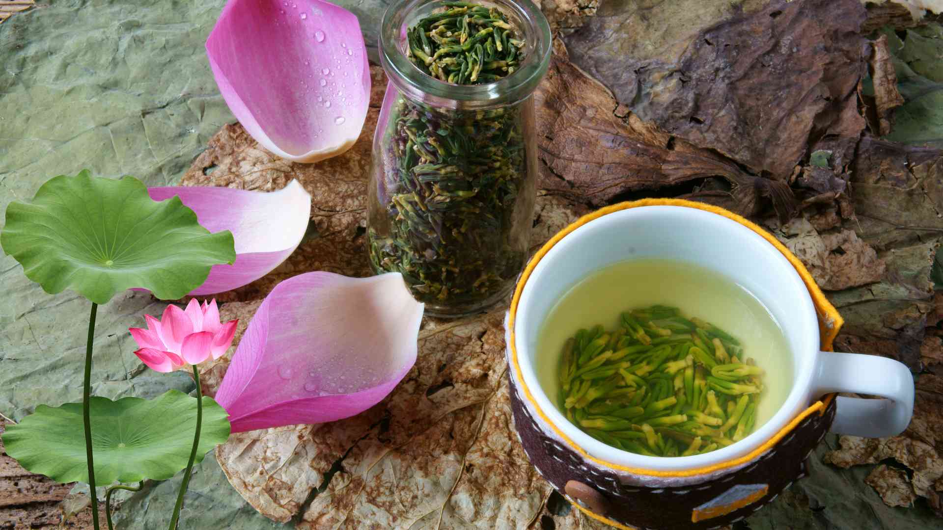 Lotus heart tea drinking in the morning helps calm the mind, clear heat and supports blood pressure regulation. Graphic photo: Huong Son