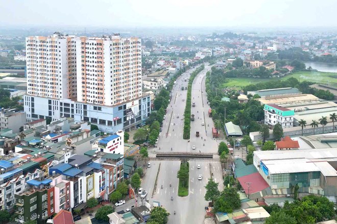 쯔엉미동의 한 가구가 3,000m2 면적의 공익 토지에서 재산과 나무를 정리해야 합니다. 사진: 송흐우