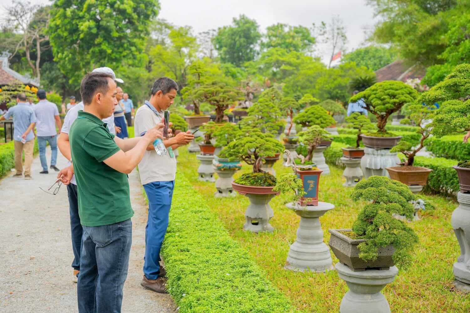 People and tourists admire trees at the program. Photo: Thanh Thien.