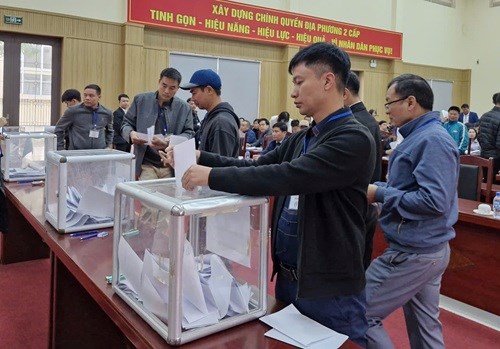 Auction of 33 land plots in Tien Thang commune at the end of 2025. Photo: Hong Son