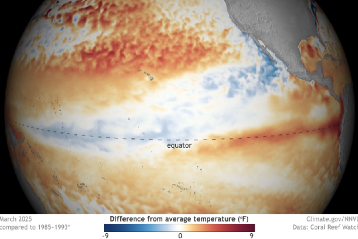 Super El Nino is forecast to appear in 2026, with a 70% chance of appearing from June and a 94% chance of lasting until the end of this year. Photo: NOAA