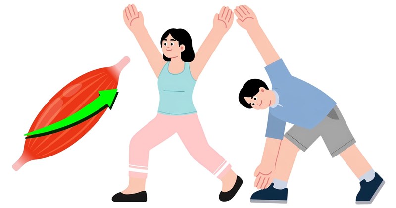 Tập thể dục giúp tăng cường cơ bụng