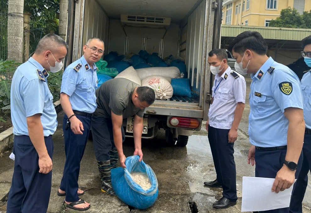 Đội QLTT số 9 cùng cán bộ Trạm kỹ thuật nông nghiệp cơ sở Mỹ Văn, Hưng Yên kiểm tra lòng lợn có dấu hiệu vi phạm an toàn thực phẩm. Ảnh: Chi cục QLTT tỉnh Hưng Yên