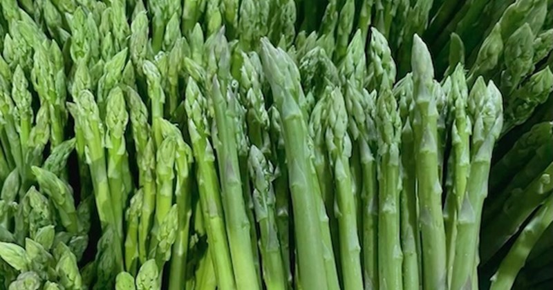 Ăn măng tây đúng cách giúp hỗ trợ chức năng thận