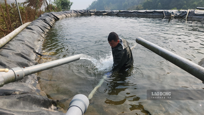 Illegal sturgeon farm in Lao Cai still discharges waste despite inspection orders. Photo: An Loc