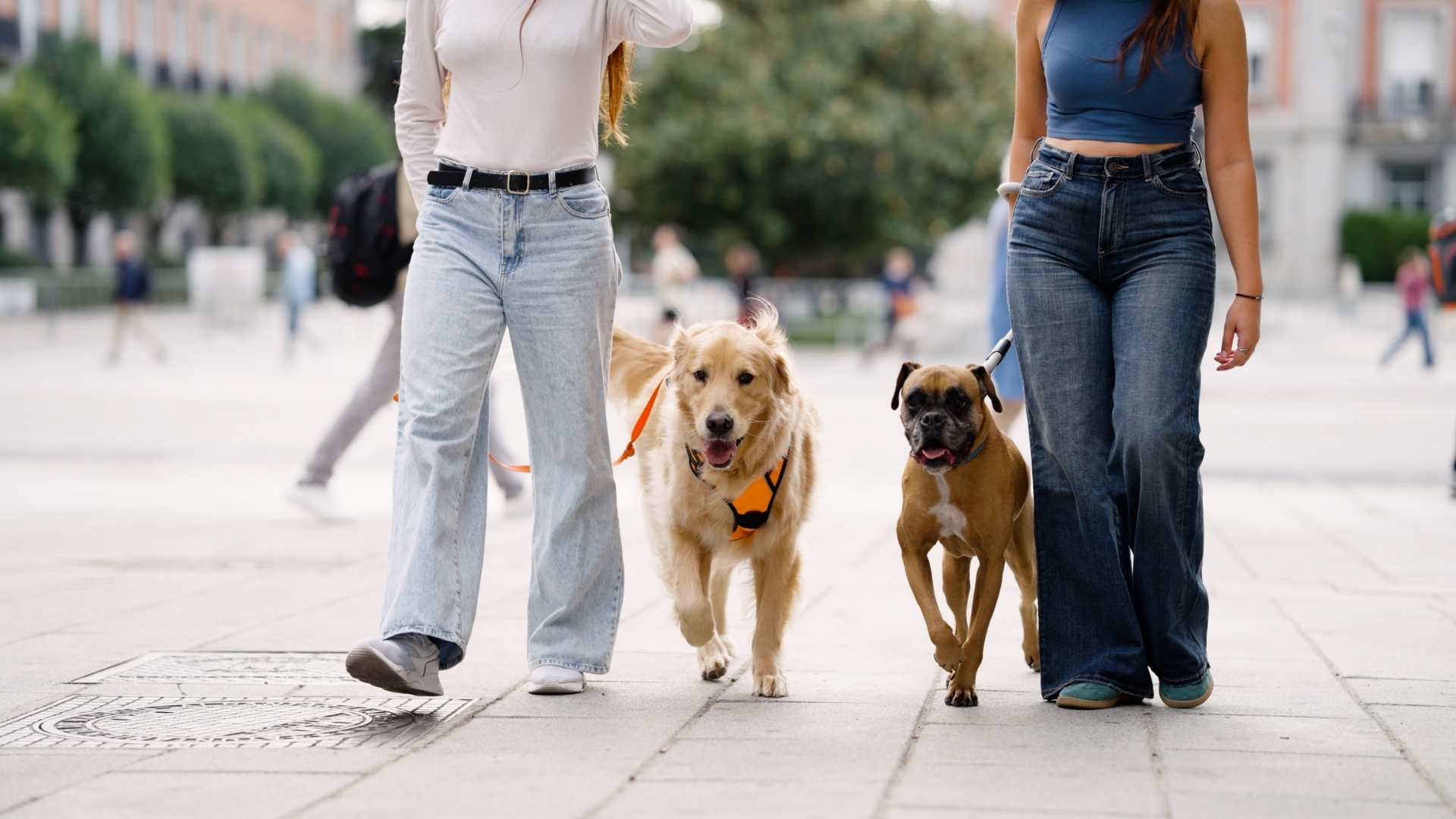 Problems often occur to the body if you don't walk regularly