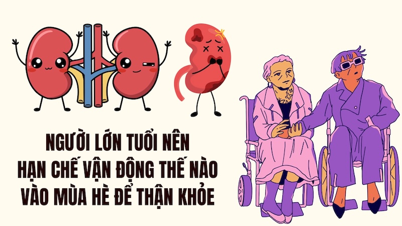 How should older people limit exercise in the summer for healthy kidneys