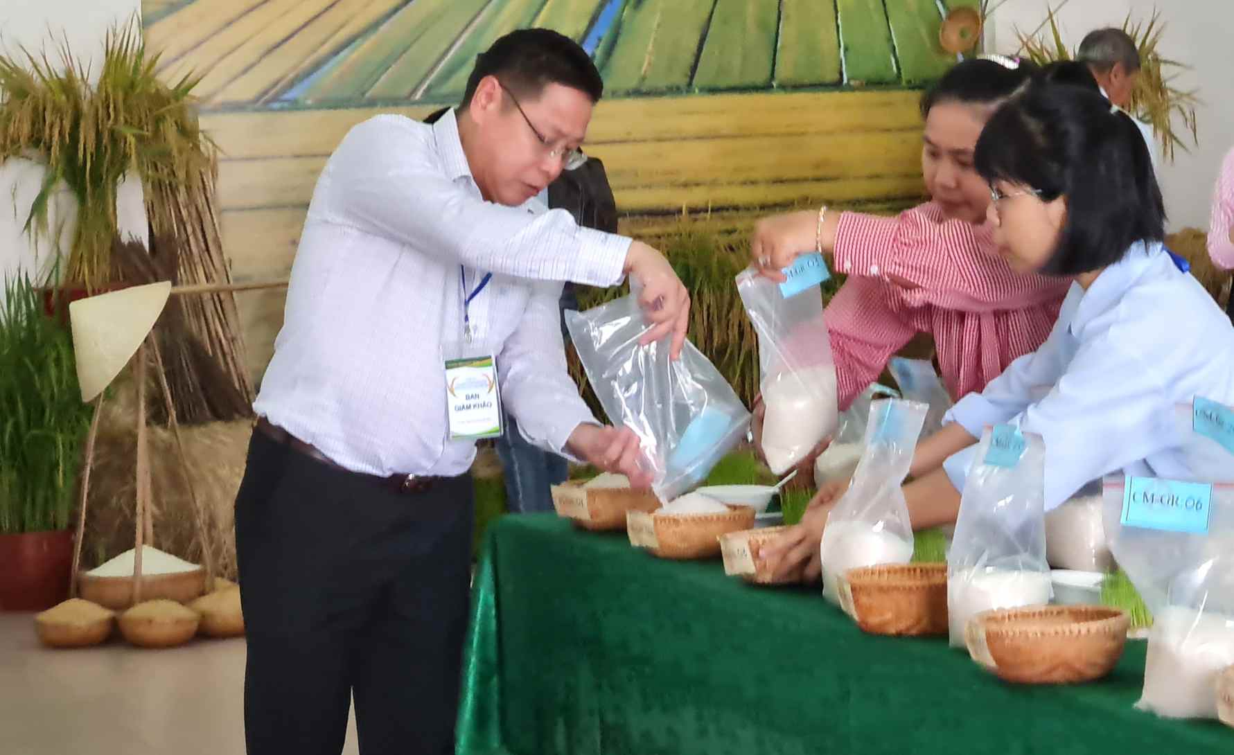 Preparing for the first competition, evaluating rice grains at the 1st Mekong Delta Delicious Rice Contest, 2026. Photo: Nhat Ho.
