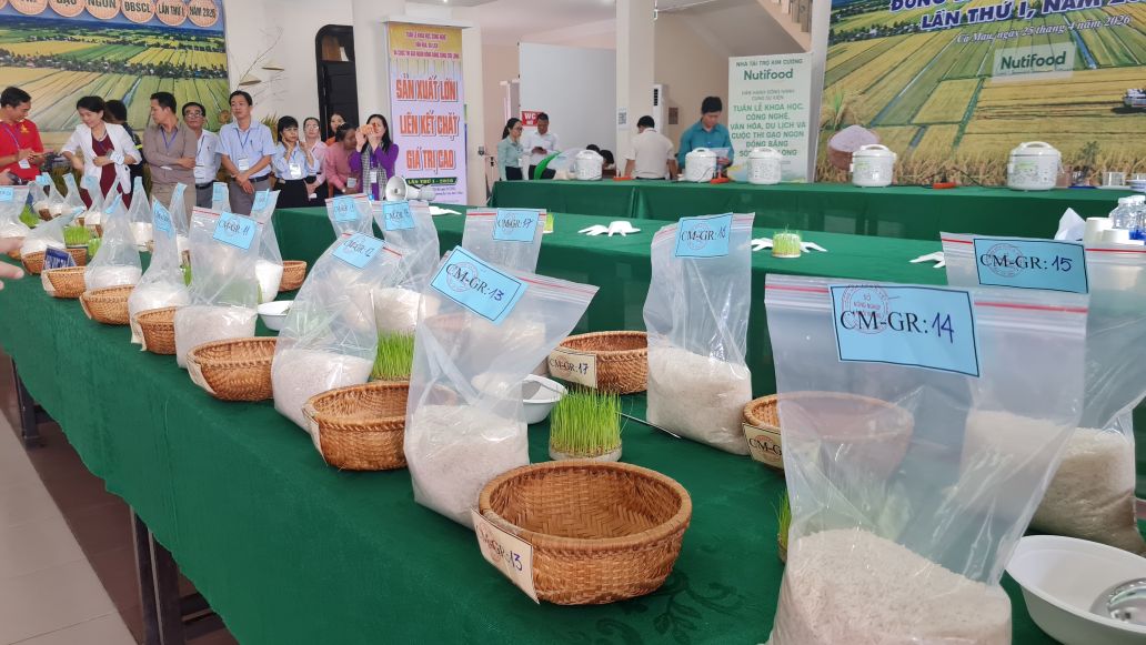 Chuẩn bị cho cuộc thi gạo ngon. Ảnh: Nhật Hồ.