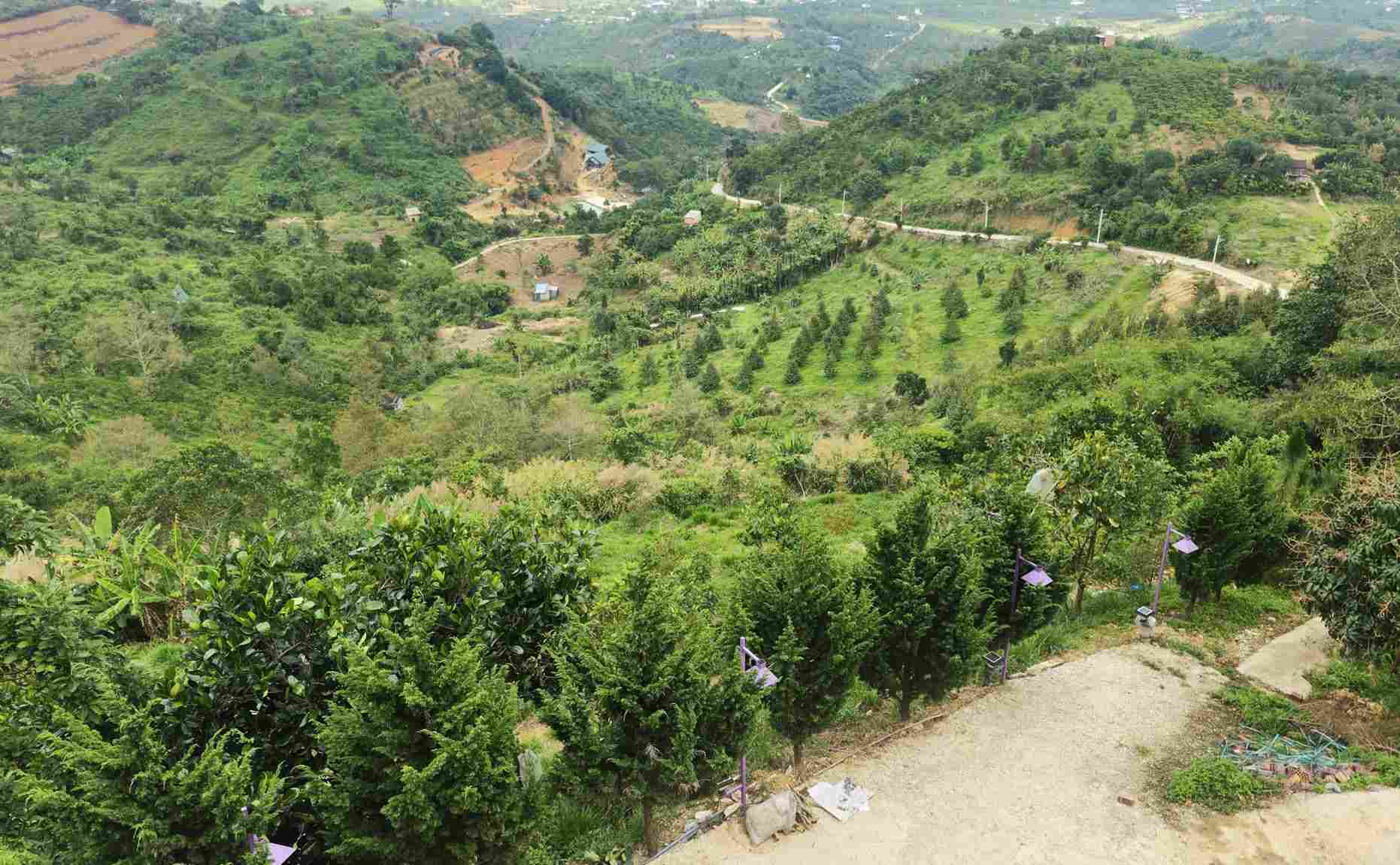 Bao Lam 3 commune affirmed that there is no "Lang Oa" project in the area. Photo: Phuc Khanh