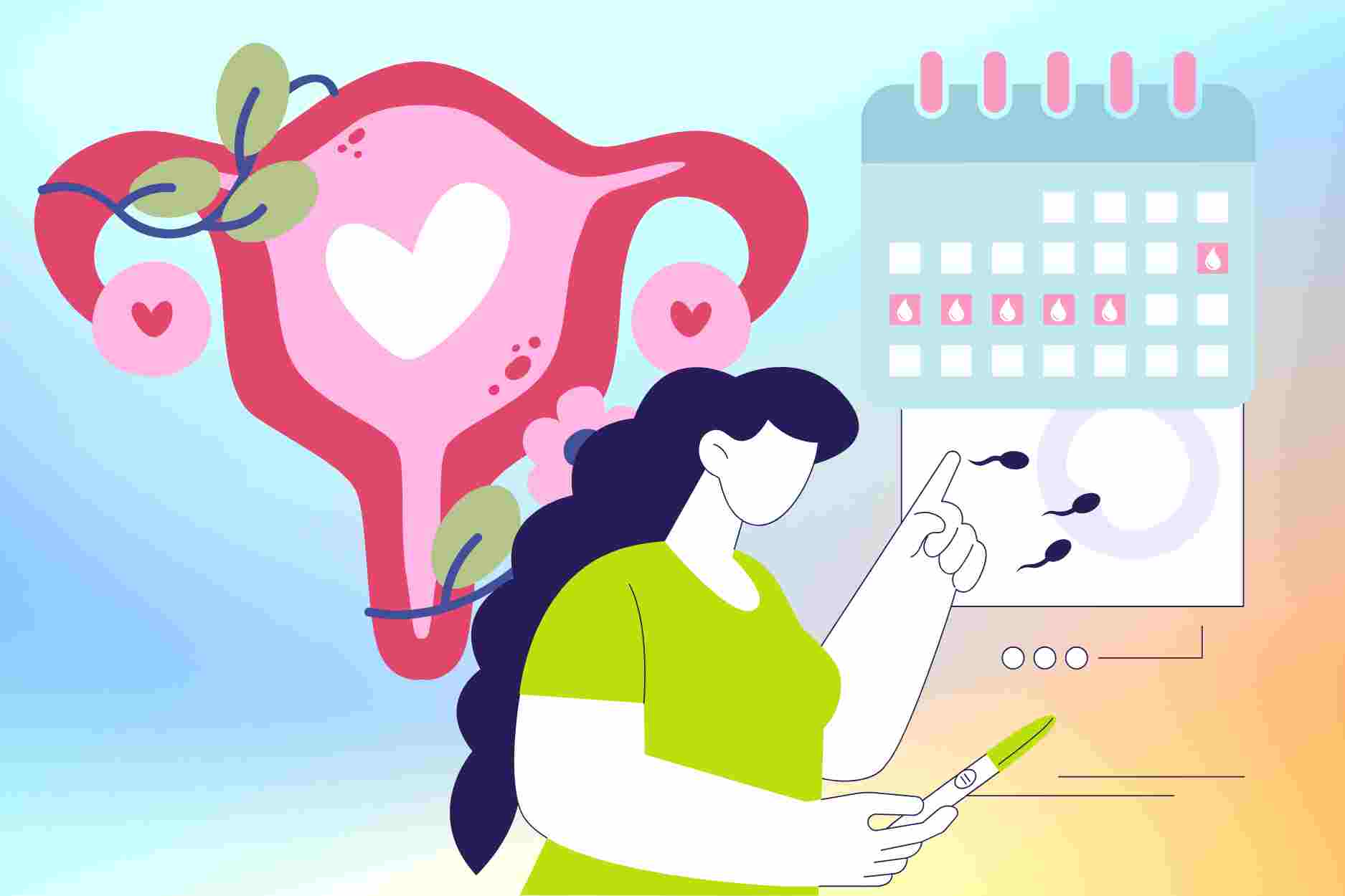 Qu'est-ce que l'absence d'ovulation, pourquoi les femmes doivent-elles y prêter attention particulièrement