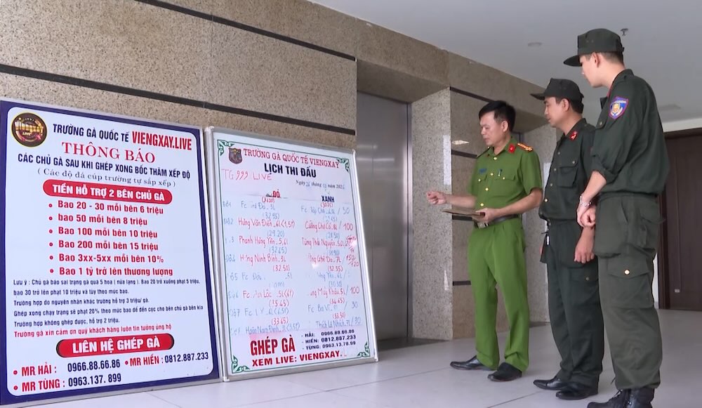 Operating method of the transnational cockfighting gambling ring that has just been caught. Photo: Thanh Hoa Provincial Police