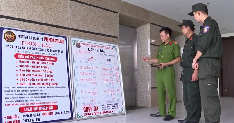 Hoạt động của đường dây đánh bạc chọi gà xuyên quốc gia vừa bị triệt phá