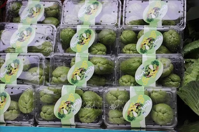 Sản phẩm Susu của HTX A Hiệp xã Pà Cò tỉnh Phú Thọ. Ảnh: Trọng Đạt/TTXVN