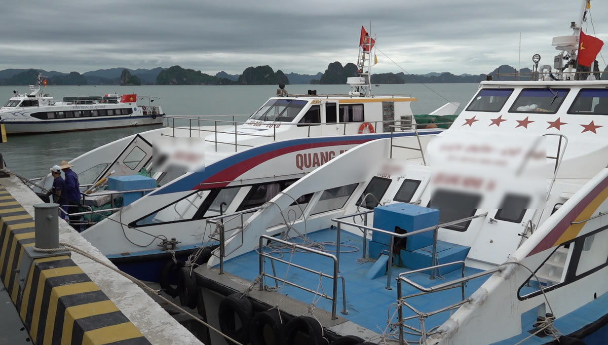 UBND đặc khu Vân Đồn đã yêu cầu các đơn vị chủ động rà soát, xây dựng mức giá phù hợp với biến động thị trường nhiên liệu. Ảnh: Đoàn Hưng