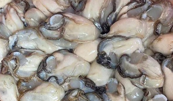 Supplementing omega-3 from oysters should pay attention to processing methods. Photo: Kieu Vu