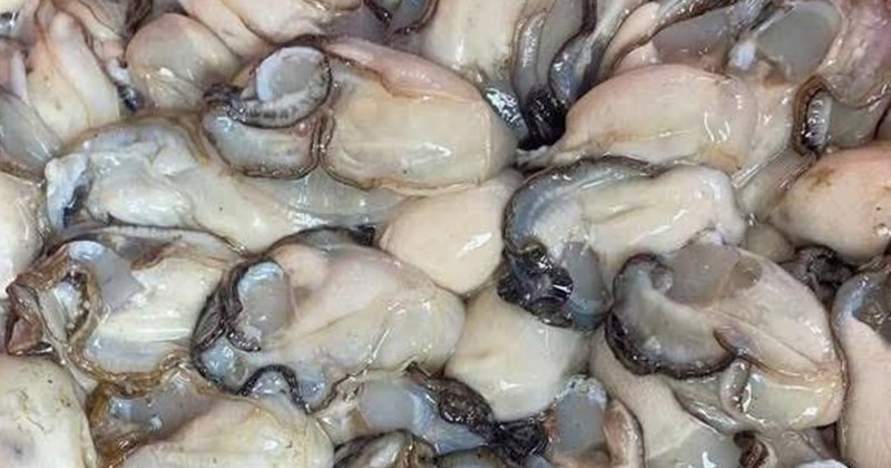 Ăn hàu sống bổ sung omega-3: Nên hay không?