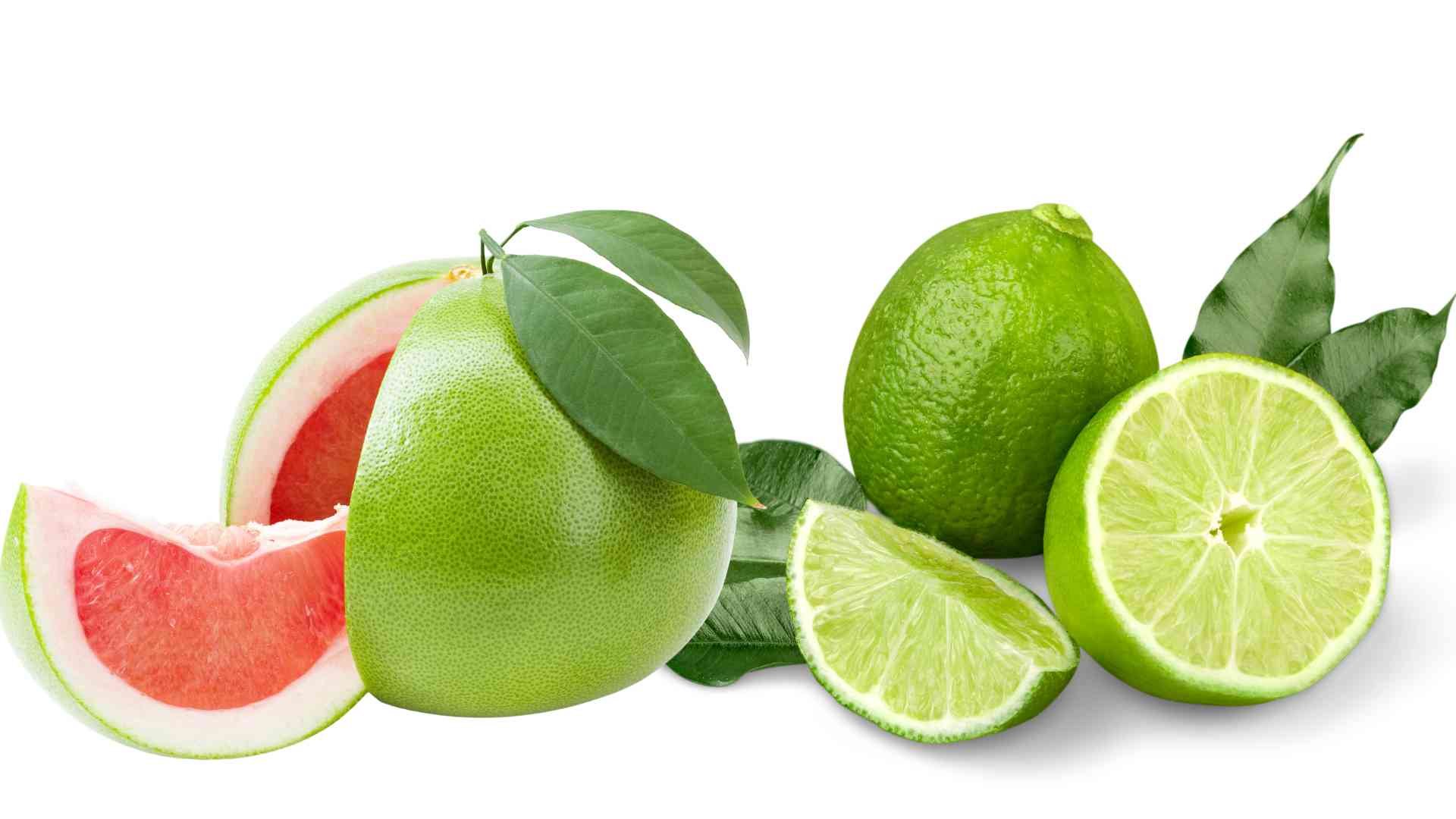 Lemon and grapefruit have a mild sour taste that effectively nourishes the kidneys and liver. Graphic photo: Huong Son