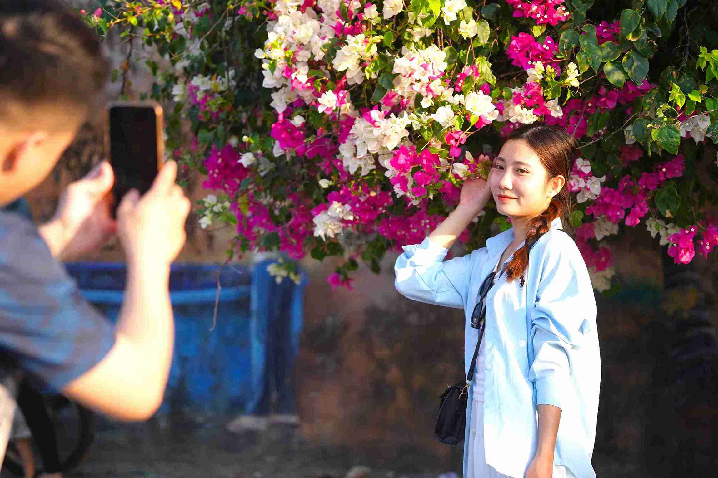 Nhiều người khi đi qua khu vực này đã dừng lại chụp ảnh, lưu giữ khoảnh khắc mùa hoa giấy nở rộ. Ảnh: Hữu Long