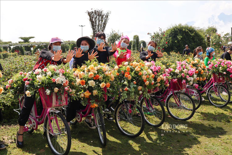 The rose festival in Sa Pa is an attractive activity for tourists during the holidays. Photo: Duc Trong