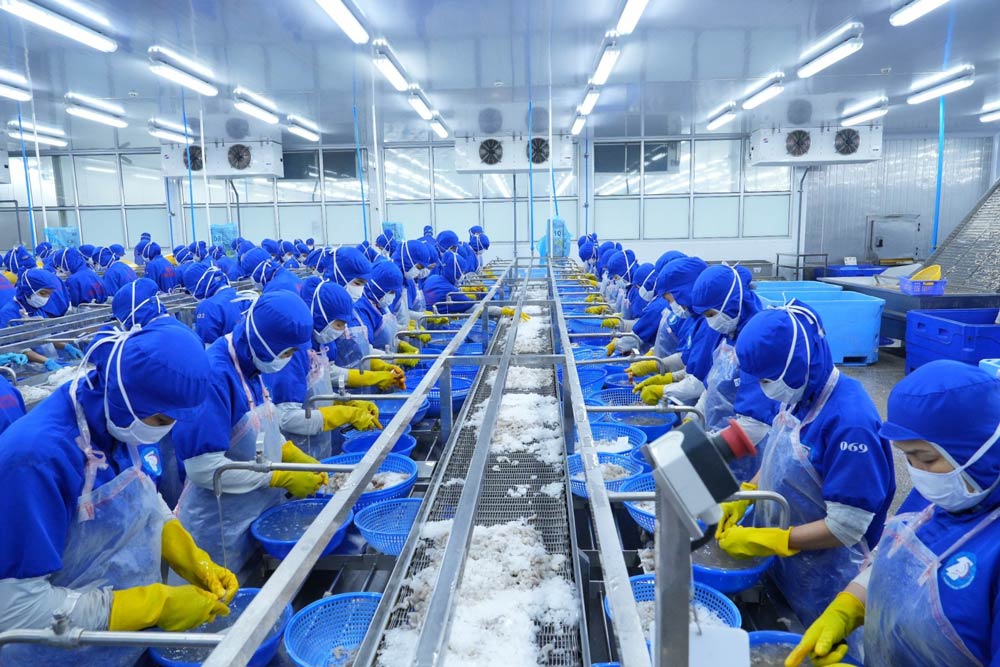 Le syndicat de base de la société par actions de produits aquatiques et de commerce Thuận Phước définit clairement sa responsabilité de pionnier dans la transformation numérique et le développement d'une économie verte. Photo: Syndicat de Thuận Phước