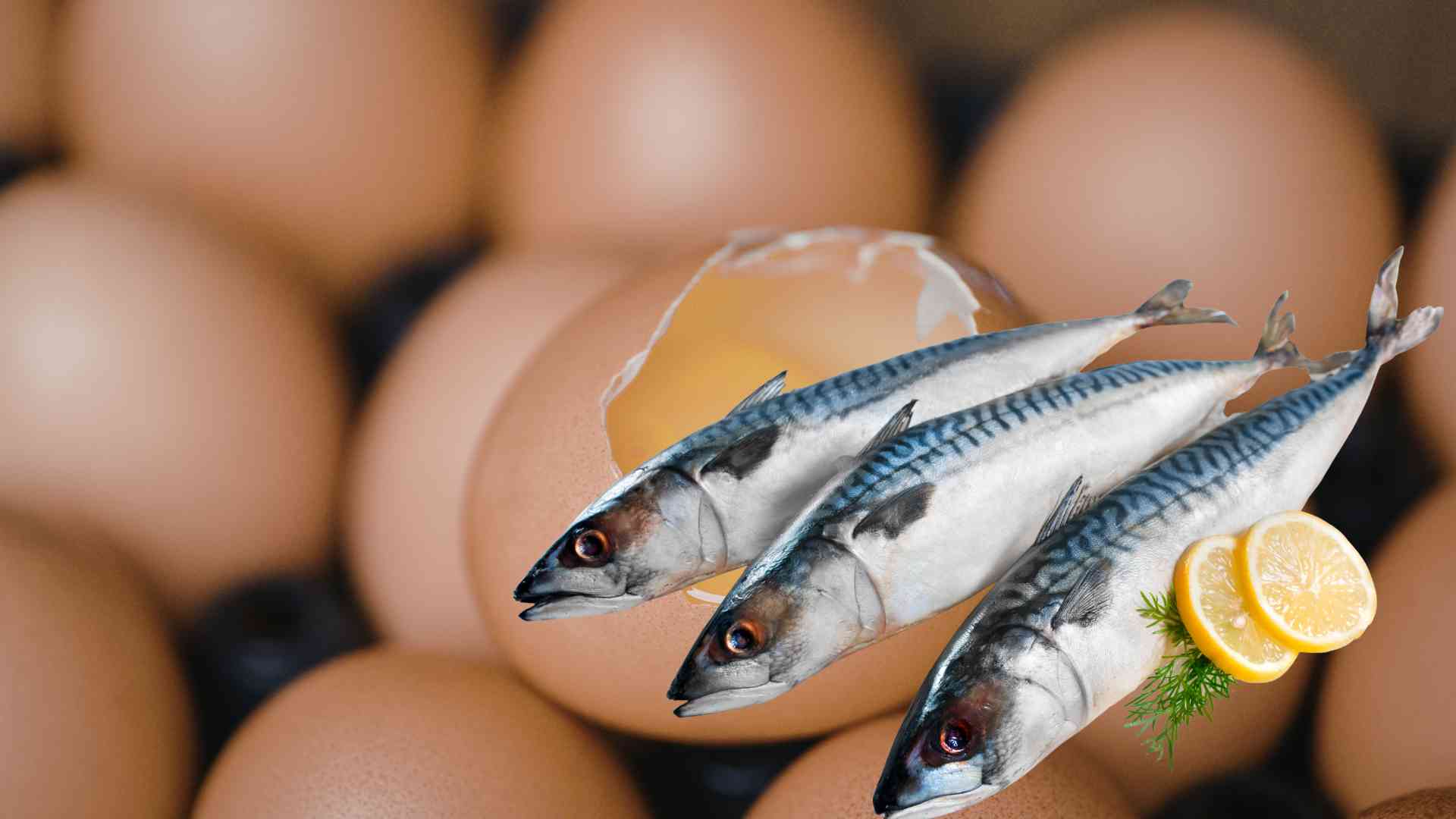 Fish and eggs contain a lot of collagen that is good for women. Graphic photo: Huong Son