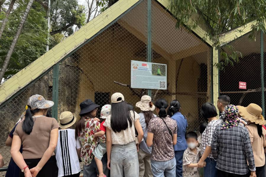 Nhiều gia đình đưa con nhỏ tới Vườn thú Hà Nội để các con được tận mắt ngắm những con thú. Ảnh: Thùy Linh