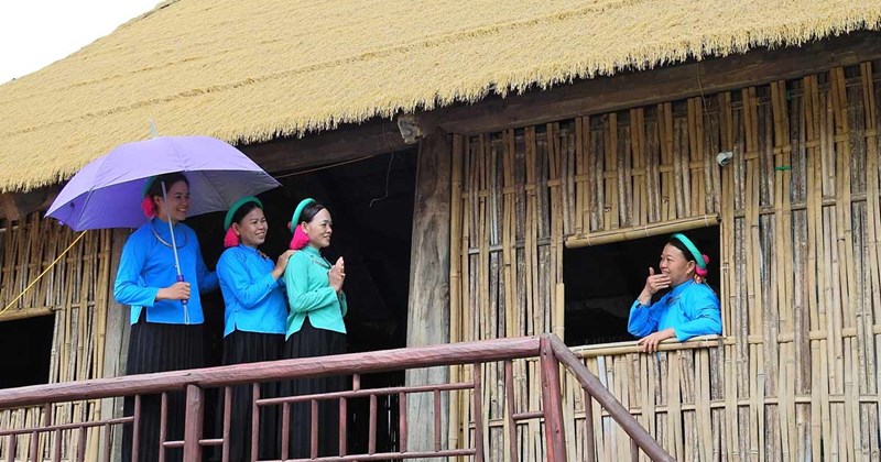 Khai mạc lễ hội hoa sim biên giới tại xã Hải Sơn, Quảng Ninh