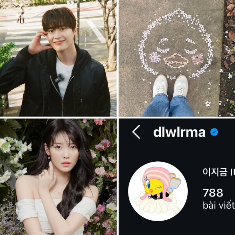 Lee Jong Suk chụp ảnh chú chim 