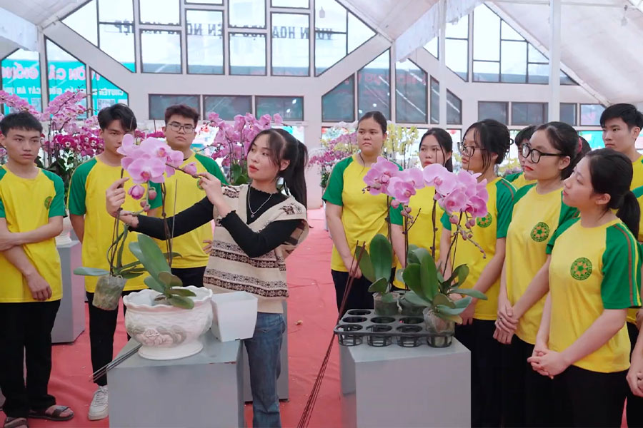 Rau hoa quả và cảnh quan và ngành học tiềm năng. Ảnh: Tuấn Anh