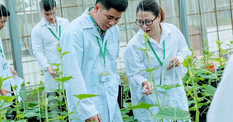 Cơ hội việc làm trong lĩnh vực công nghệ rau, quả và cảnh quan